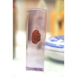 頂級水晶膠肚臍方(圓)印章-客制化印章